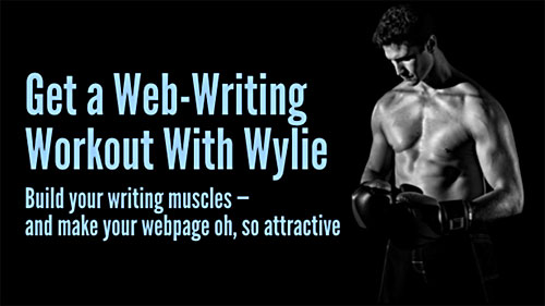 Writing For the Web and Mobile - Ann Wylie's web-writing workshop on June 12-13 in Chicago