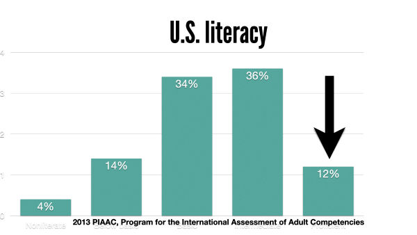 literacy rate in essay