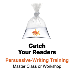 Catch Your Readers - Ann Wylie's persuasive-writing workshop