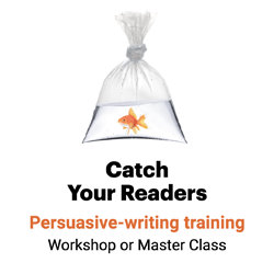 Catch Your Readers - Ann Wylie's persuasive-writing training