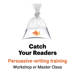 Catch Your Readers - Ann Wylie's persuasive-writing workshop