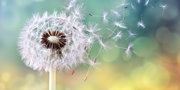 motivation-among-the-element-of-storytelling